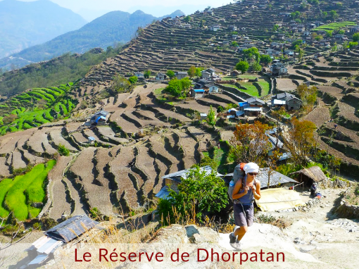 The Dhorpatan Reserve