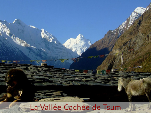 The hidden Tsum Valley