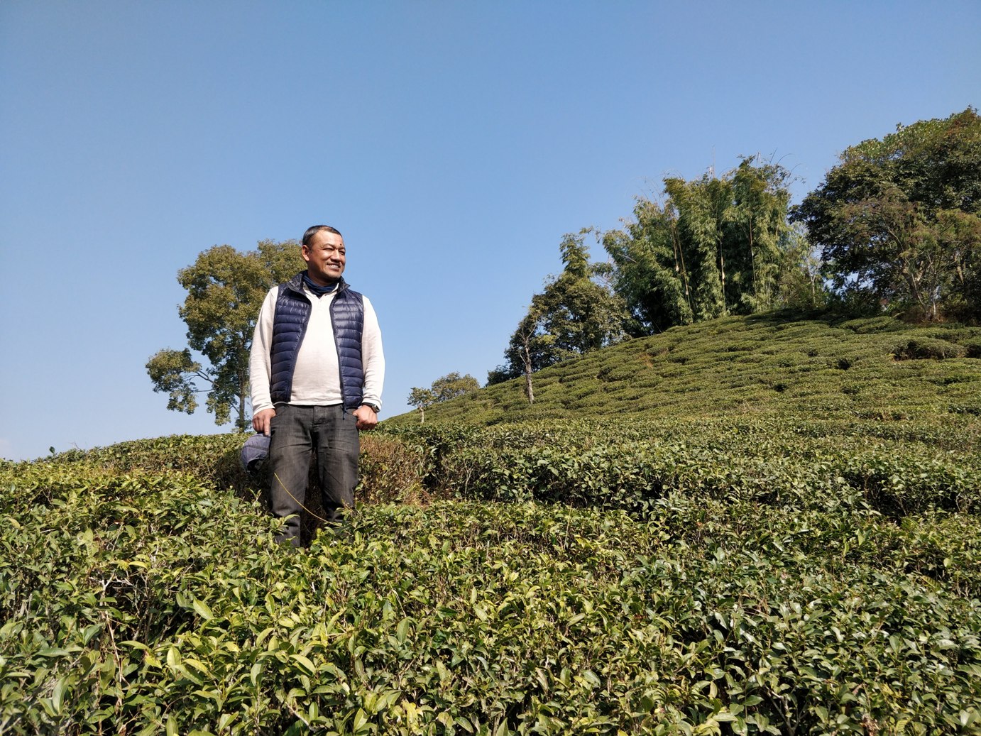 ilam bazaar tea garden suraj