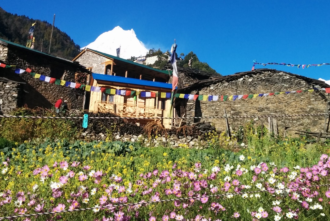 Trekking du Tour du Manaslu par la Vallée de Tsum au Népal