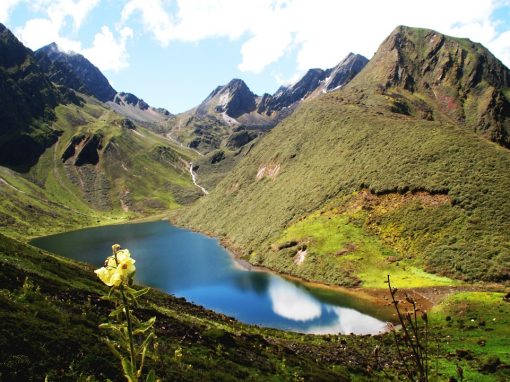 The Jomolhari Trekking