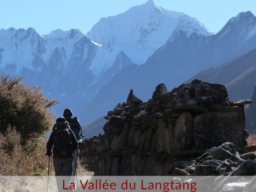 La Vallée du Langtang