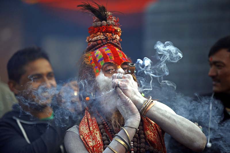 Shivaratri saddhu marijuana