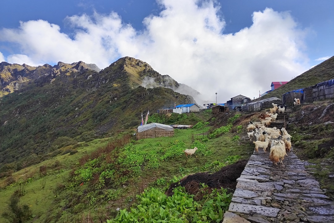 Trekking de Panch Pokhari